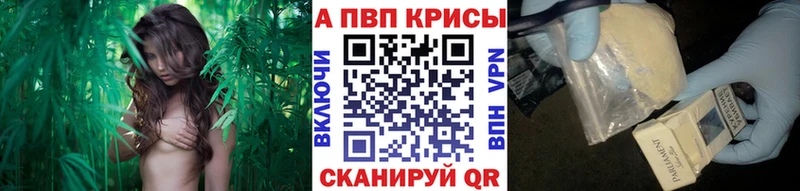 наркотики  Лангепас  APVP СК КРИС 