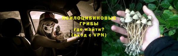 apvp Армянск