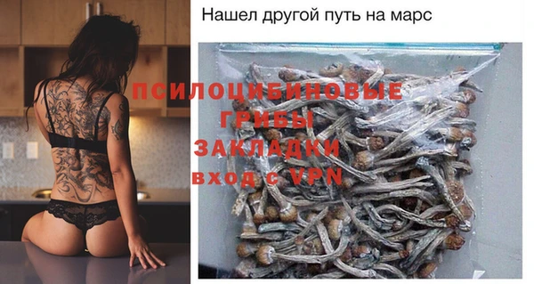 прущие крисы Арсеньев