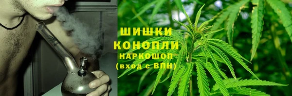прущие крисы Арсеньев
