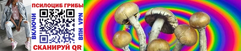 закладка  Лангепас  Галлюциногенные грибы Psilocybe 